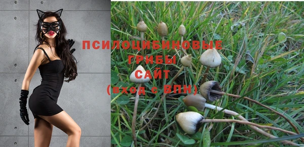 метадон Михайловка