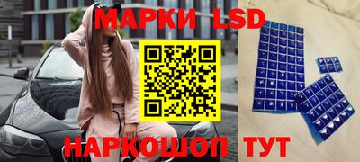 гидропоника Можга