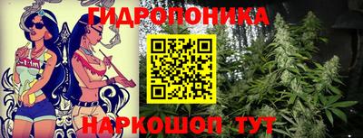 гидропоника Можга