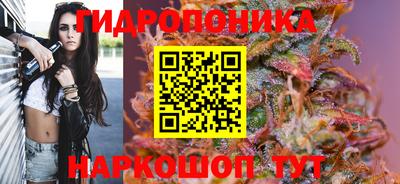 дмт Моздок