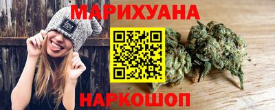 гидропоника Можга