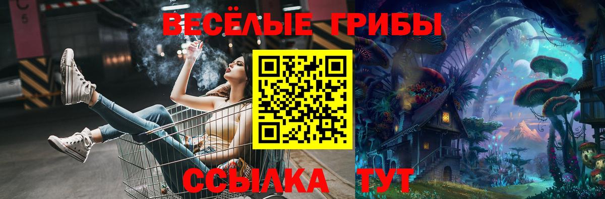 Галлюциногенные грибы мухоморы Томск