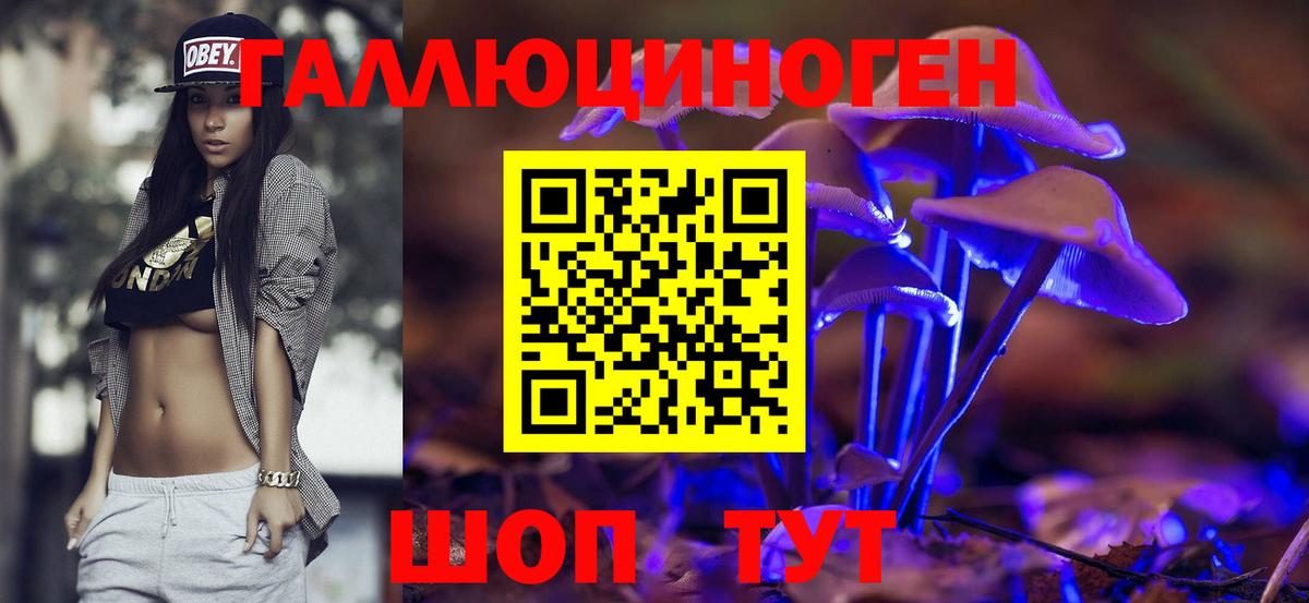 Томск  Галлюциногенные грибы мицелий  Вход с VPN 