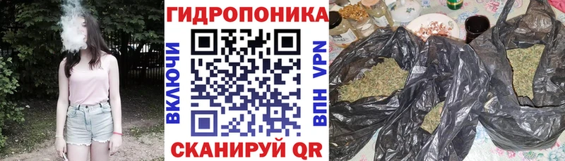 darknet клад  Томск  Канабис OG Kush 