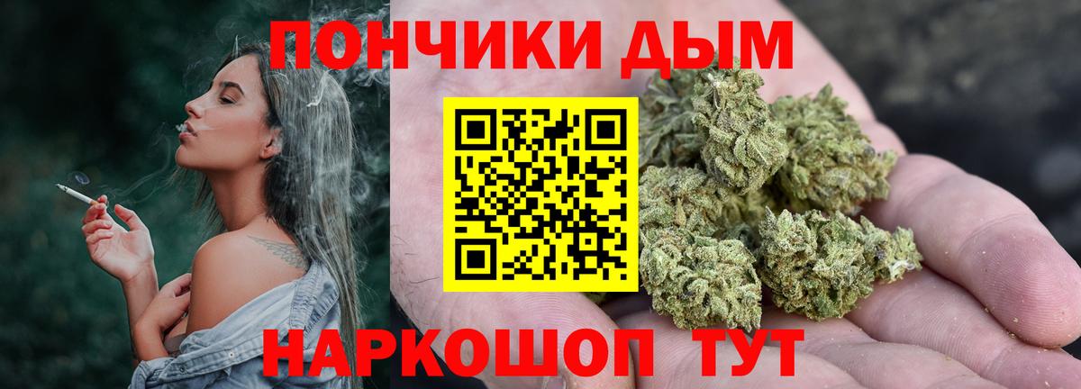 Канабис сатива Томск